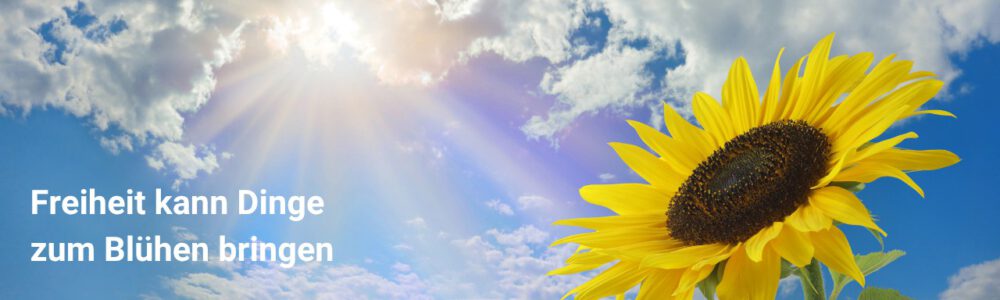 31 Freiheit - Interne Audits nach ISO 9001 sinnvoll nutzen