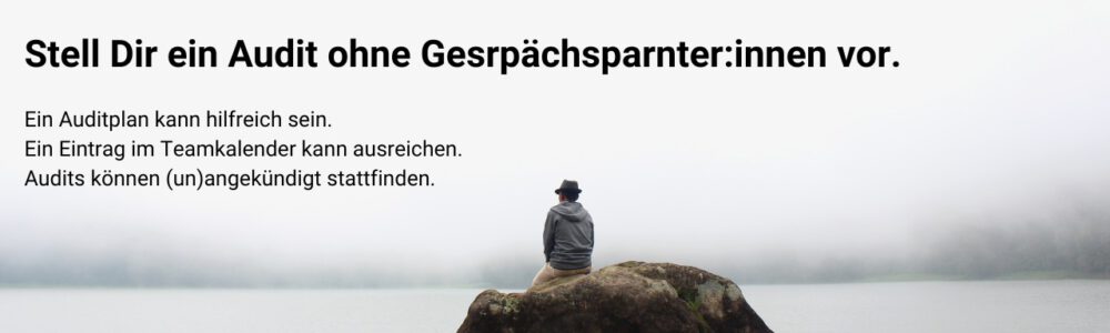 31 Nebel - Interne Audits nach ISO 9001 sinnvoll nutzen